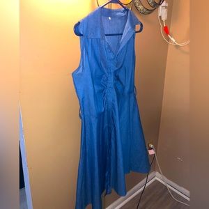 Short buttons up the front jean dress.